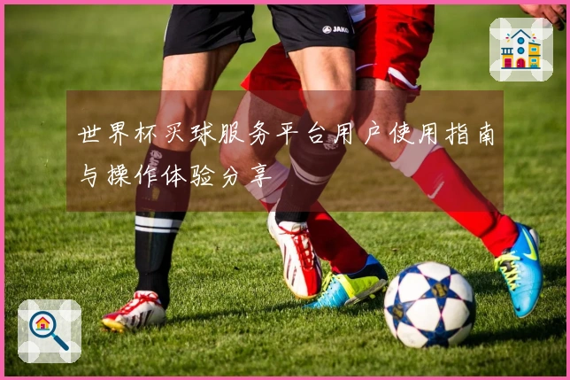 世界杯买球服务平台用户使用指南与操作体验分享