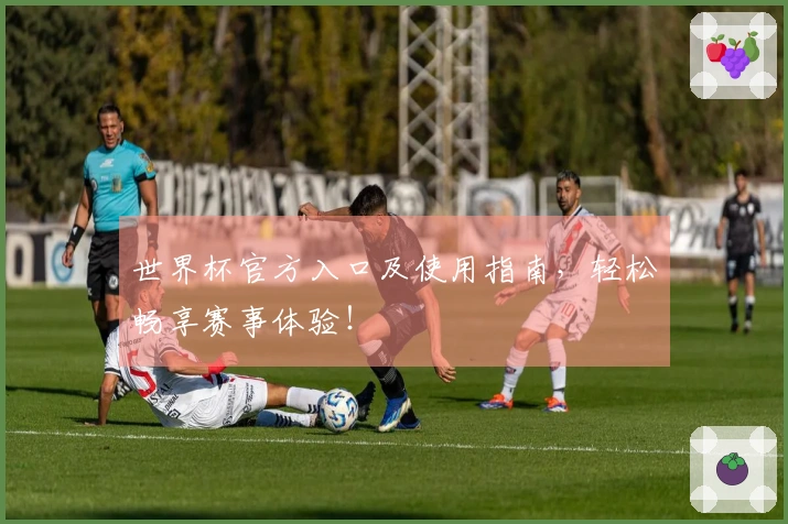 世界杯官方入口及使用指南，轻松畅享赛事体验！