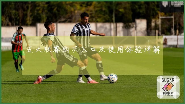 五大联赛购买入口及使用体验详解