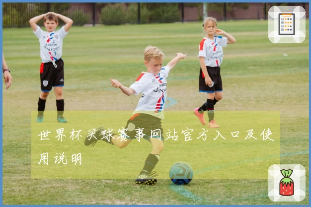 世界杯买球赛事网站官方入口及使用说明