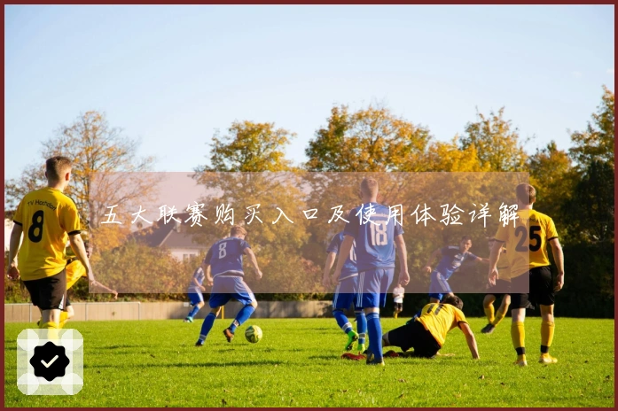 五大联赛购买入口及使用体验详解