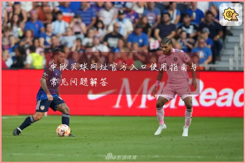 中欧买球网址官方入口使用指南与常见问题解答