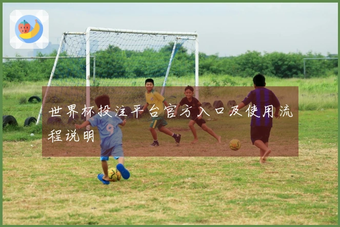 世界杯投注平台官方入口及使用流程说明
